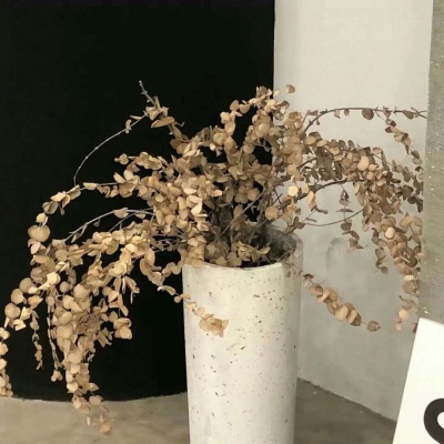 绥化福瑞交流群